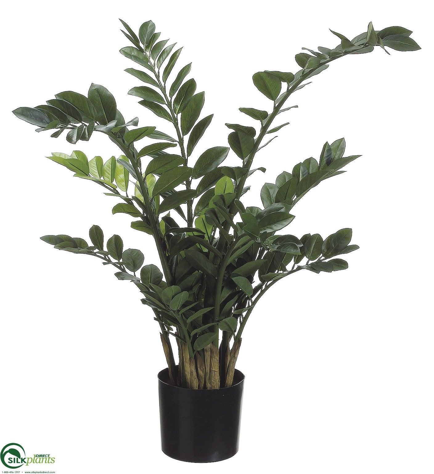 faux zz plant small Silk Plants Direct Zamioculcas Zamiifolia ZZ Plant - Green
