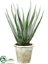 Silk Plants Direct Agave Plant - Green Gray - Pack of 2