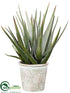 Silk Plants Direct Agave Plant - Green - Pack of 2