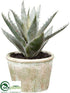 Silk Plants Direct Agave Plant - Green Gray - Pack of 6