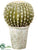 Silk Plants Direct Barrel Cactus - Green Yellow - Pack of 1