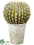 Silk Plants Direct Barrel Cactus - Green Yellow - Pack of 1