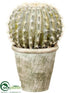 Silk Plants Direct Barrel Cactus - Green Yellow - Pack of 2