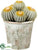 Silk Plants Direct Barrel Cactus - Green - Pack of 6