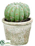 Silk Plants Direct Barrel Cactus - Green - Pack of 12