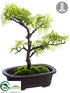 Silk Plants Direct Cedar Bonsai - Green - Pack of 4