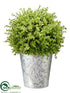 Silk Plants Direct Baby's Tear, Moss Ball Topiary - Green - Pack of 4