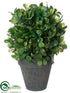 Silk Plants Direct Boxwood Ball - Green - Pack of 12