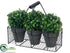 Silk Plants Direct Boxwood Topiary Ball - Green - Pack of 4