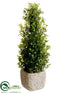 Silk Plants Direct Boxwood Cone Topiary - Green - Pack of 6