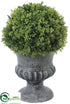 Silk Plants Direct Baby's Tear Topiary Ball - Green - Pack of 8