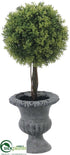 Silk Plants Direct Baby's Tear Topiary Ball - Green - Pack of 8