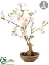 Silk Plants Direct Cherry Blossom Bonsai - Pink - Pack of 2
