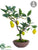 Silk Plants Direct Lemon Bonsai - Yellow Green - Pack of 4