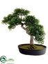 Silk Plants Direct Tea Leaf Bonsai Tree - Green - Pack of 4