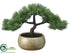 Silk Plants Direct Pine Bonsai - Green - Pack of 4
