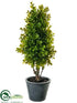 Silk Plants Direct Boxwood Topiary - Green - Pack of 4