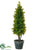 Boxwood Topiary - Green - Pack of 2