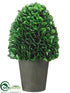Silk Plants Direct Boxwood - Green - Pack of 2