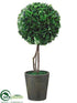 Silk Plants Direct Boxwood Topiary - Green - Pack of 2