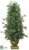 Boxwood Cone Topiary - Green - Pack of 2