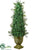 Boxwood Cone Topiary - Green - Pack of 2