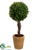 Boxwood Single Ball Topiary - Green - Pack of 4