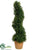 Boxwood Spiral Cone Topiary - Green - Pack of 2