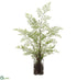 Silk Plants Direct Maidenhair Fern - Green - Pack of 4
