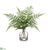 Forest Fern - Green - Pack of 6