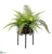 Leather Fern - Green - Pack of 2