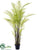 Silk Plants Direct Forest Fern - Green - Pack of 1