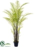 Silk Plants Direct Forest Fern - Green - Pack of 1