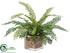 Silk Plants Direct Fish Bone Fern - Green - Pack of 4