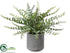 Silk Plants Direct Fern - Green - Pack of 6