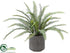 Silk Plants Direct Sword Fern - Green - Pack of 6