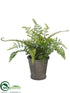 Silk Plants Direct Leather Fern, Ivy - Green - Pack of 6