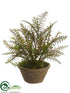 Silk Plants Direct Fern - Green - Pack of 6