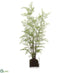 Silk Plants Direct Maidenhair Fern Plant - Green - Pack of 2