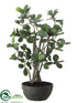 Silk Plants Direct Oriental Ficus Bonsai - Green - Pack of 4