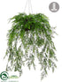 Silk Plants Direct Hanging Asparagus Fern - Green - Pack of 1
