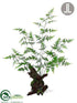 Silk Plants Direct Asparagus Fern - Green - Pack of 1