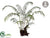 Fern - Green - Pack of 1