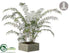 Silk Plants Direct Fern - Green - Pack of 1