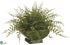 Silk Plants Direct Leather Fern - Green - Pack of 1