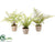 Silk Plants Direct Fern - Green - Pack of 2