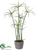 Papyrus Grass - Green - Pack of 2