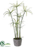 Silk Plants Direct Papyrus Grass - Green - Pack of 2