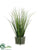 Silk Plants Direct Grass - Green - Pack of 6