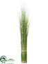 Silk Plants Direct Onion Grass Stand - Variegated - Pack of 6